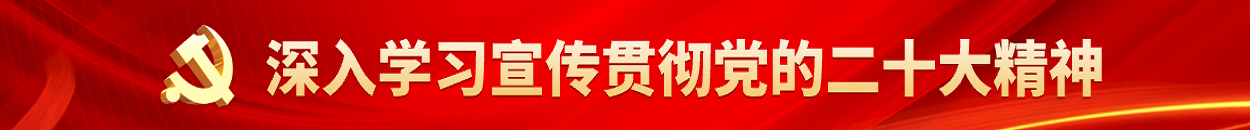 深入學習宣傳貫徹黨的二十大精神